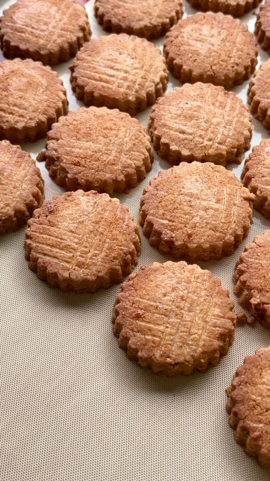 【お中元・夏ギフト】数量限定veganのクッキー詰め合わせです😊