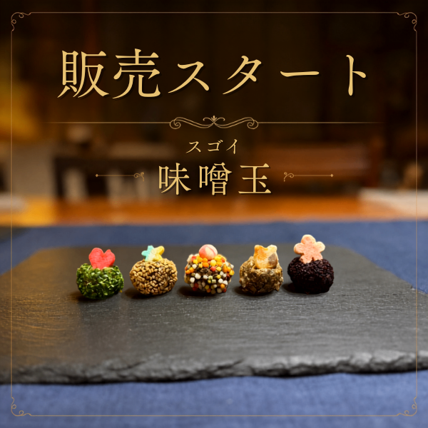 〈リベ友と共同開発🤝〉宮城から届ける “スゴイ味噌玉✨” 5個セット 【お中元・夏ギフト】