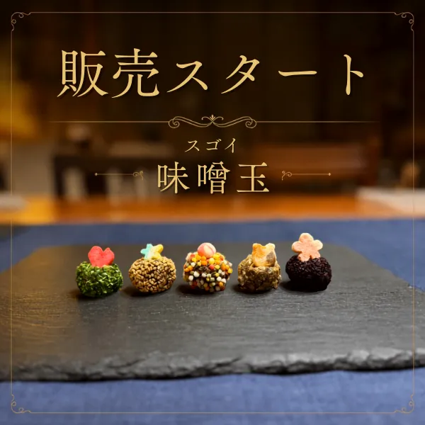 〈リベ友と共同開発🤝〉宮城から届ける “スゴイ味噌玉✨” 5個セット 