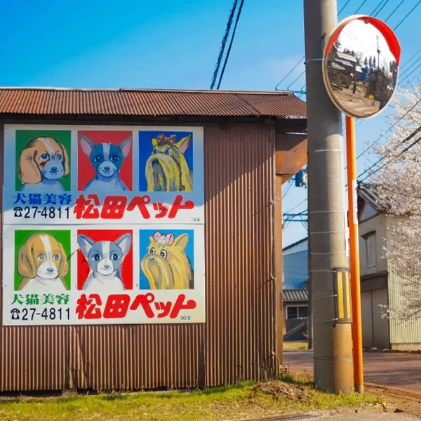  国産 無添加 りんご・バナナチップス 20g 犬用おやつ 新潟県 松田ペット 例の看板の店