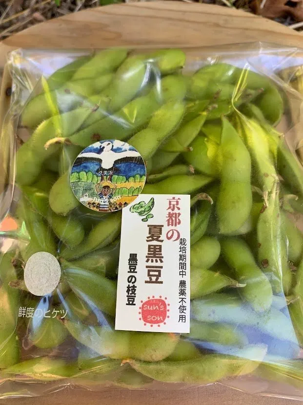 【第２弾】京都夏黒えだ豆500ｇ（250×２パック）　農薬・化学肥料不使用栽培