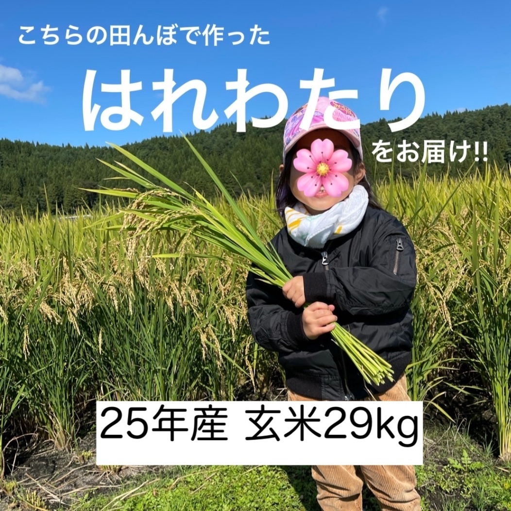 25年/青森県産　はれわたり（玄米） 29kg
