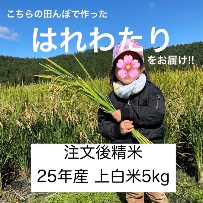 25年/青森県産 はれわたり（玄米） 20kg ｜リベシティ市場