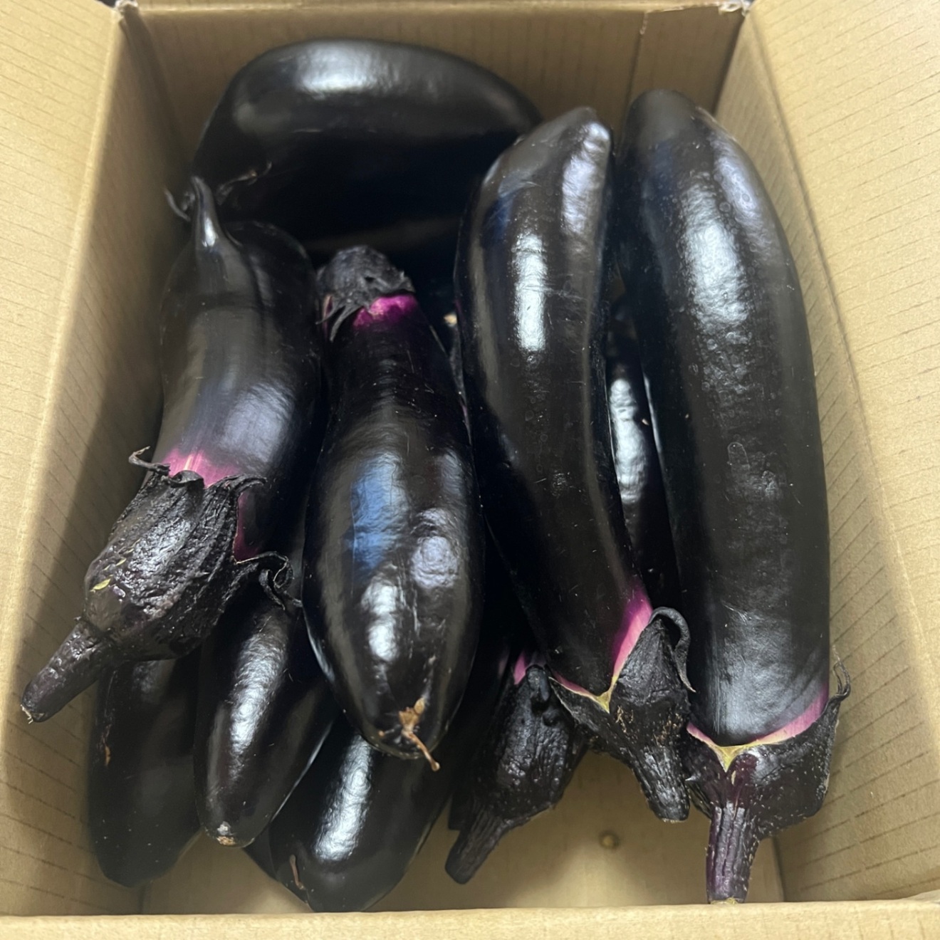 【朝採り新鮮】もぎたてナス🍆 たっぷり60サイズ箱詰め！２キロ　おまけに採れたて野菜　農家直送　