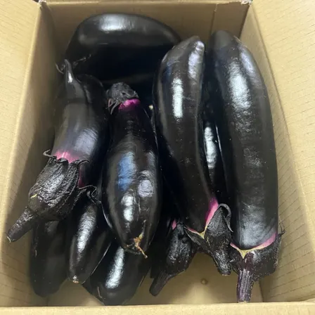 【朝採り新鮮】もぎたてナス🍆 たっぷり60サイズ箱詰め！２キロ　おまけに採れたて野菜　農家直送　