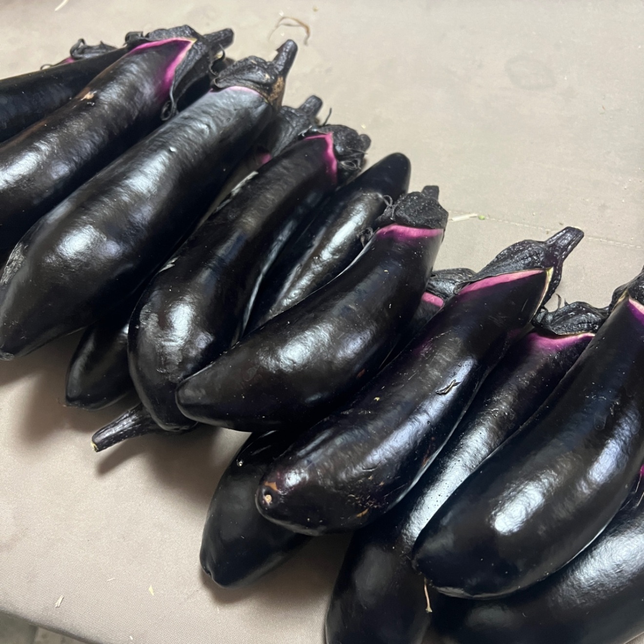 【朝採り新鮮】もぎたてナス🍆 たっぷり60サイズ箱詰め！２キロ　おまけに採れたて野菜　農家直送　
