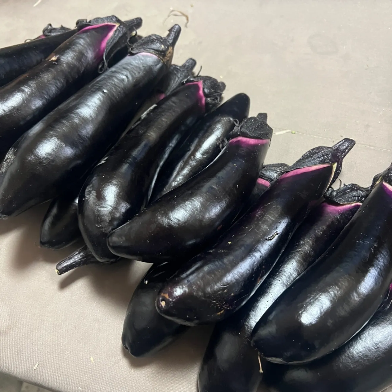 【朝採り新鮮】もぎたてナス🍆 たっぷり60サイズ箱詰め！２キロ　おまけに採れたて野菜　農家直送　