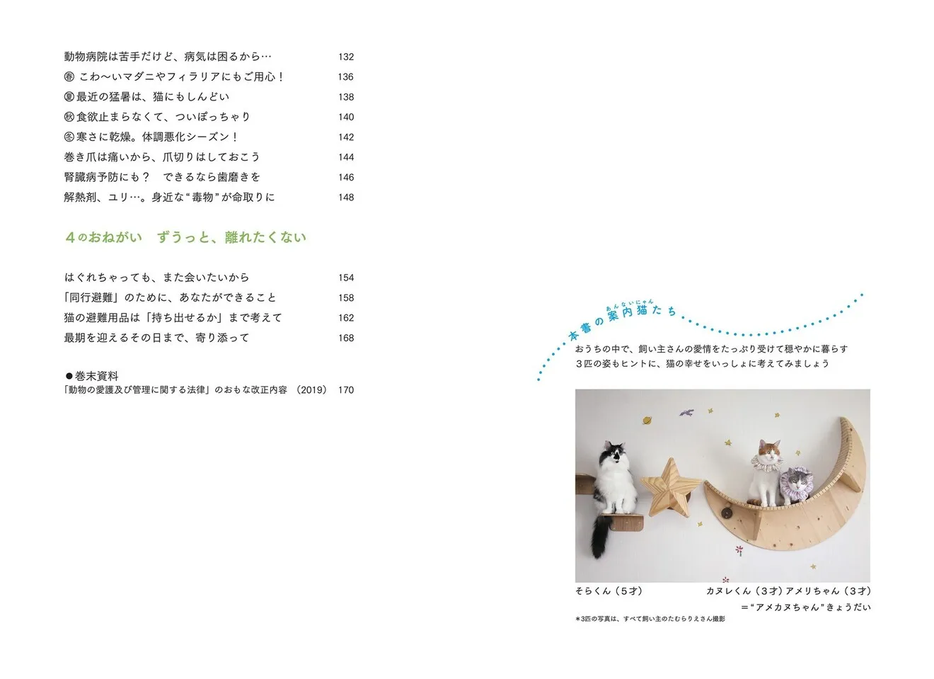 猫からのおねがい 猫も人も幸せになれる迎え方&暮らし