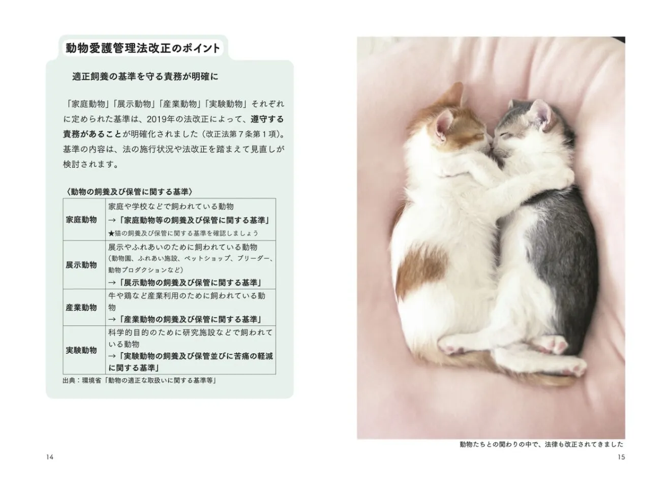 猫からのおねがい 猫も人も幸せになれる迎え方&暮らし