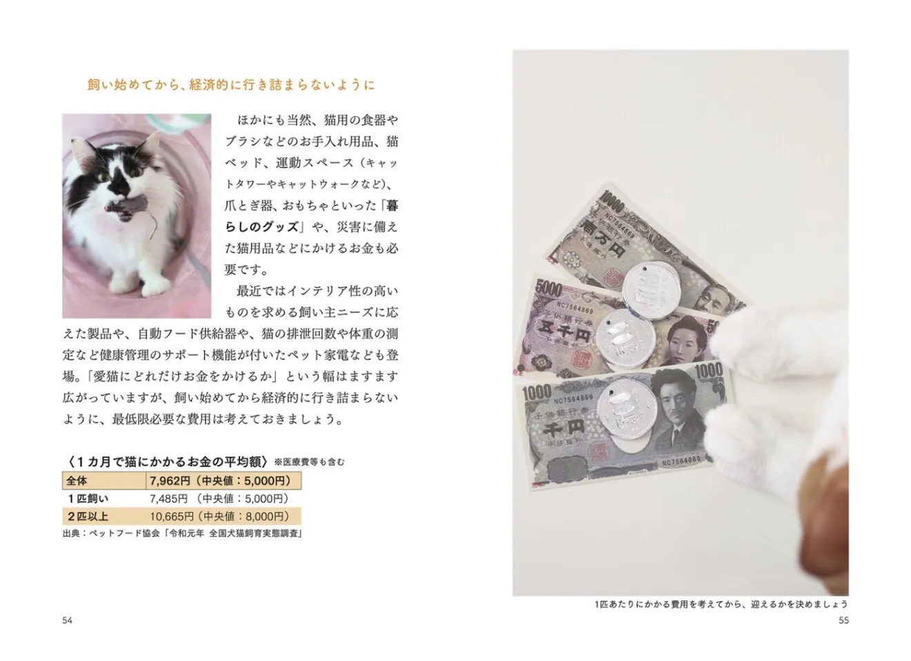 猫からのおねがい 猫も人も幸せになれる迎え方&暮らし