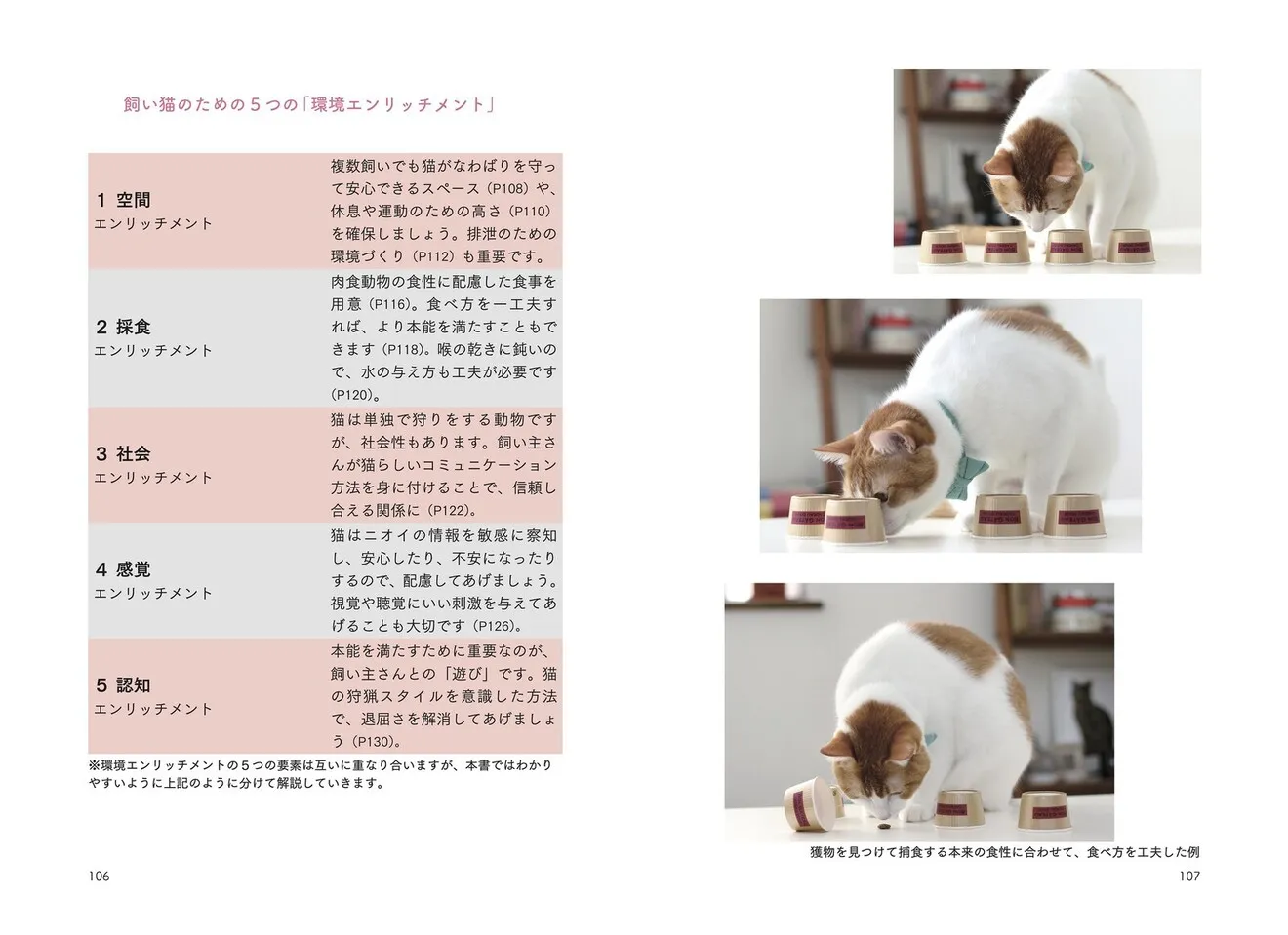 猫からのおねがい 猫も人も幸せになれる迎え方&暮らし