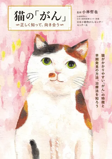 猫の「がん」〜正しく知って、向き合う
