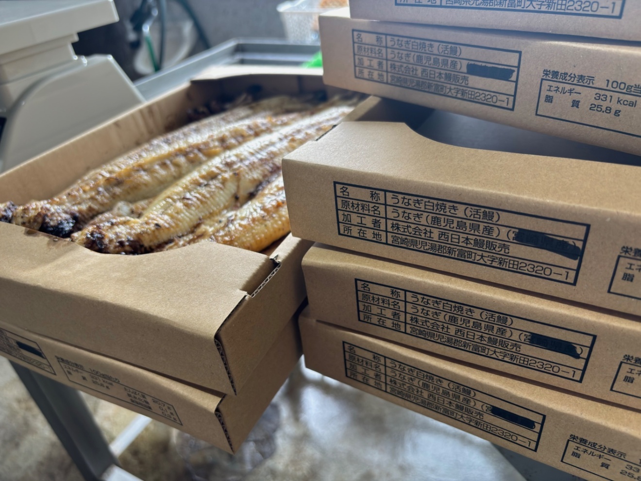 【希少品‼️】新仔うなぎの白焼き 4匹