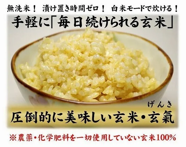 【2個セット】無洗米 玄米 玄氣（げんき） 1.5kg 発芽玄米 農薬不使用 化学肥料不使用