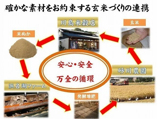 【2個セット】無洗米 玄米 玄氣（げんき） 1.5kg 発芽玄米 農薬不使用 化学肥料不使用