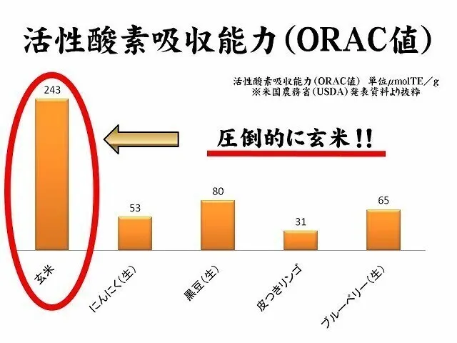 【2個セット】無洗米 玄米 玄氣（げんき） 1.5kg 発芽玄米 農薬不使用 化学肥料不使用