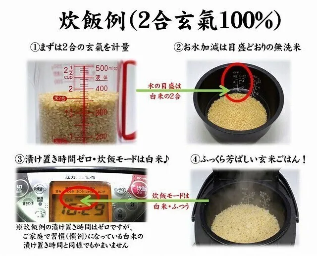 【2個セット】無洗米 玄米 玄氣（げんき） 1.5kg 発芽玄米 農薬不使用 化学肥料不使用
