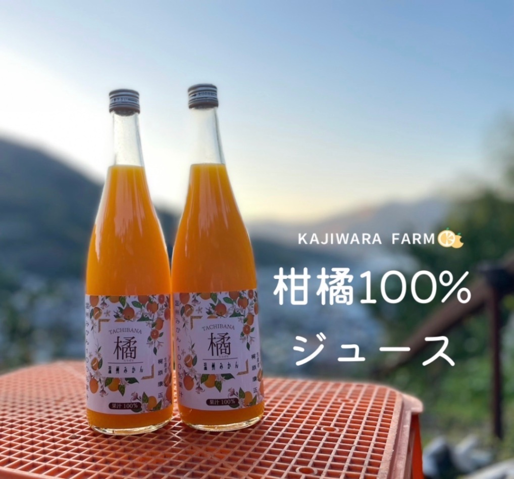 温州みかん100%ジュース 720ml×2本