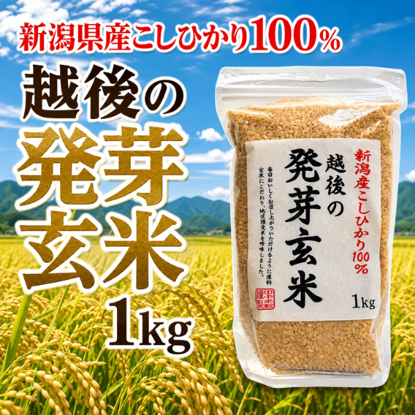 発芽玄米 新潟県産コシヒカリ 1kg 越後 国産玄米 健康資産構築 玄米