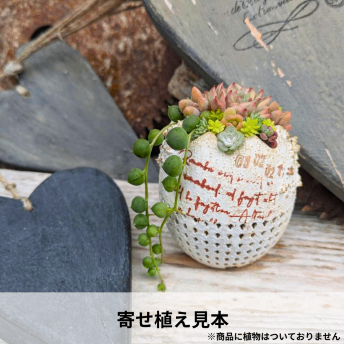 たまご型3号鉢｜3Dプリンター製