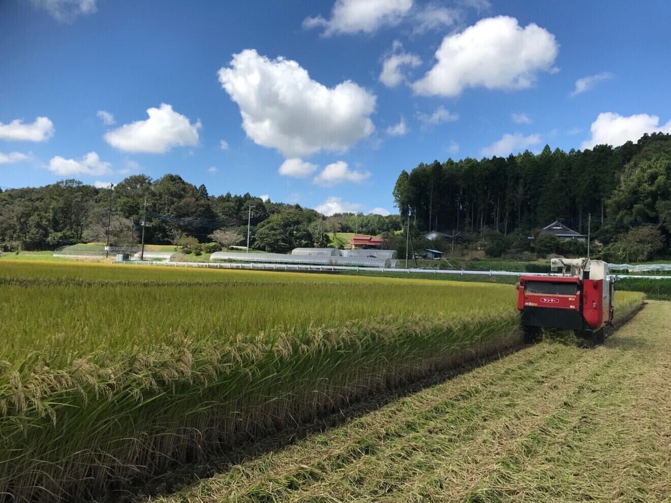 【2025年産】栃木県産 とちぎの星 900g (約6合）
白米 産地直送