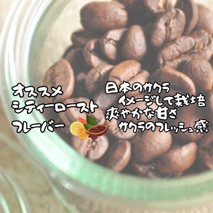 🇧🇷さくらブルボン 自家焙煎コーヒー豆 300g【焙煎 挽き方思いのまま】