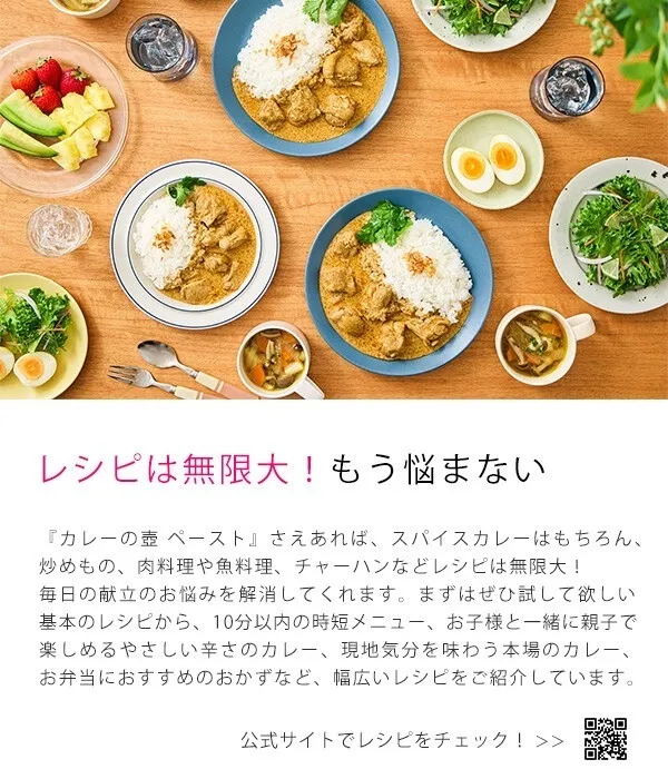 カレーの壺 オリジナル 200g・約20皿分 本格スパイスカレー｜動物性原材料・小麦粉不使用