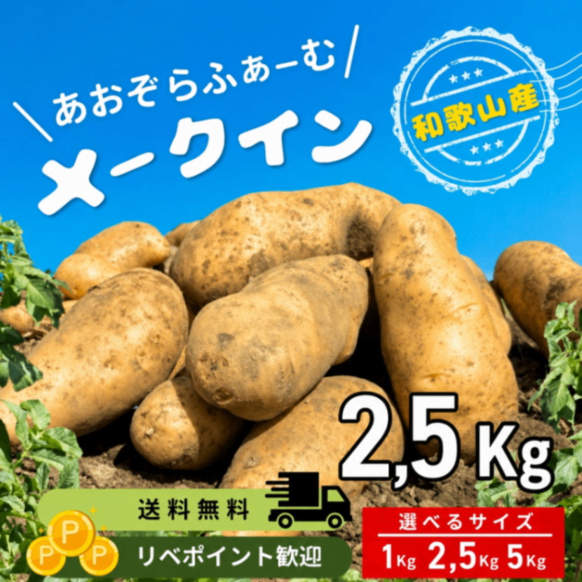 じゃがいもメークイン🥔旬の味（2.5kg）　じゃがいも
