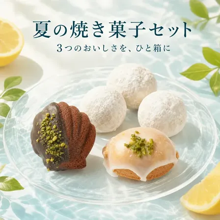 【8/8発送or8/9新宿オフィスでお渡】夏の焼き菓子セット🍋
