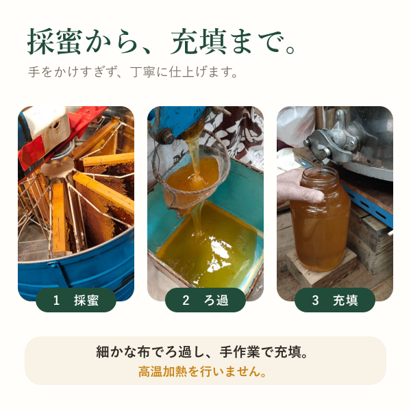 【鳥取県産】純粋はちみつ トチ 150g｜コクと豊かな香り・パンやチーズ｜スパウト付きパウチ