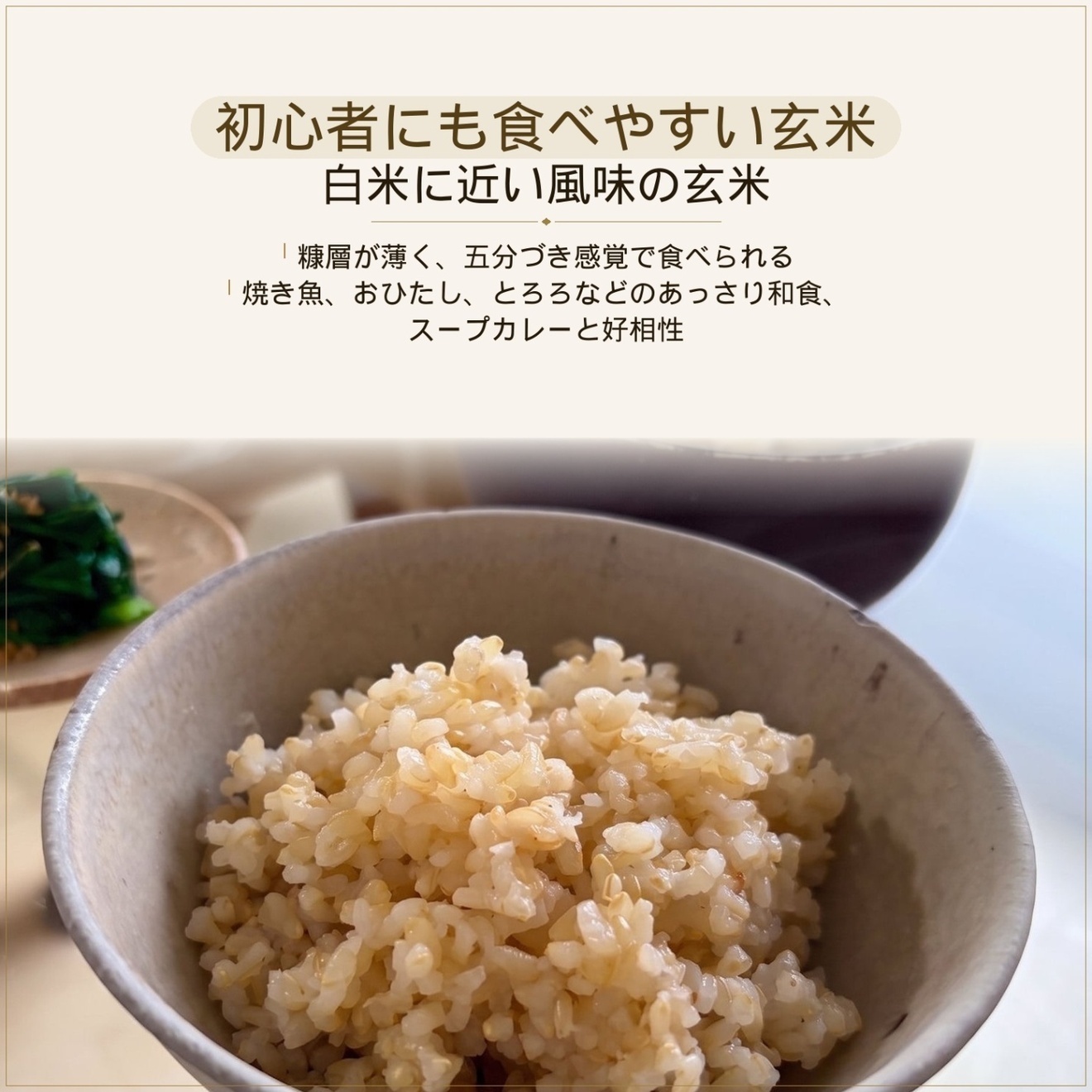 【期間限定価格】玄米 10kg 富山県産 てんたかく   令和7年産 初心者向け玄米 