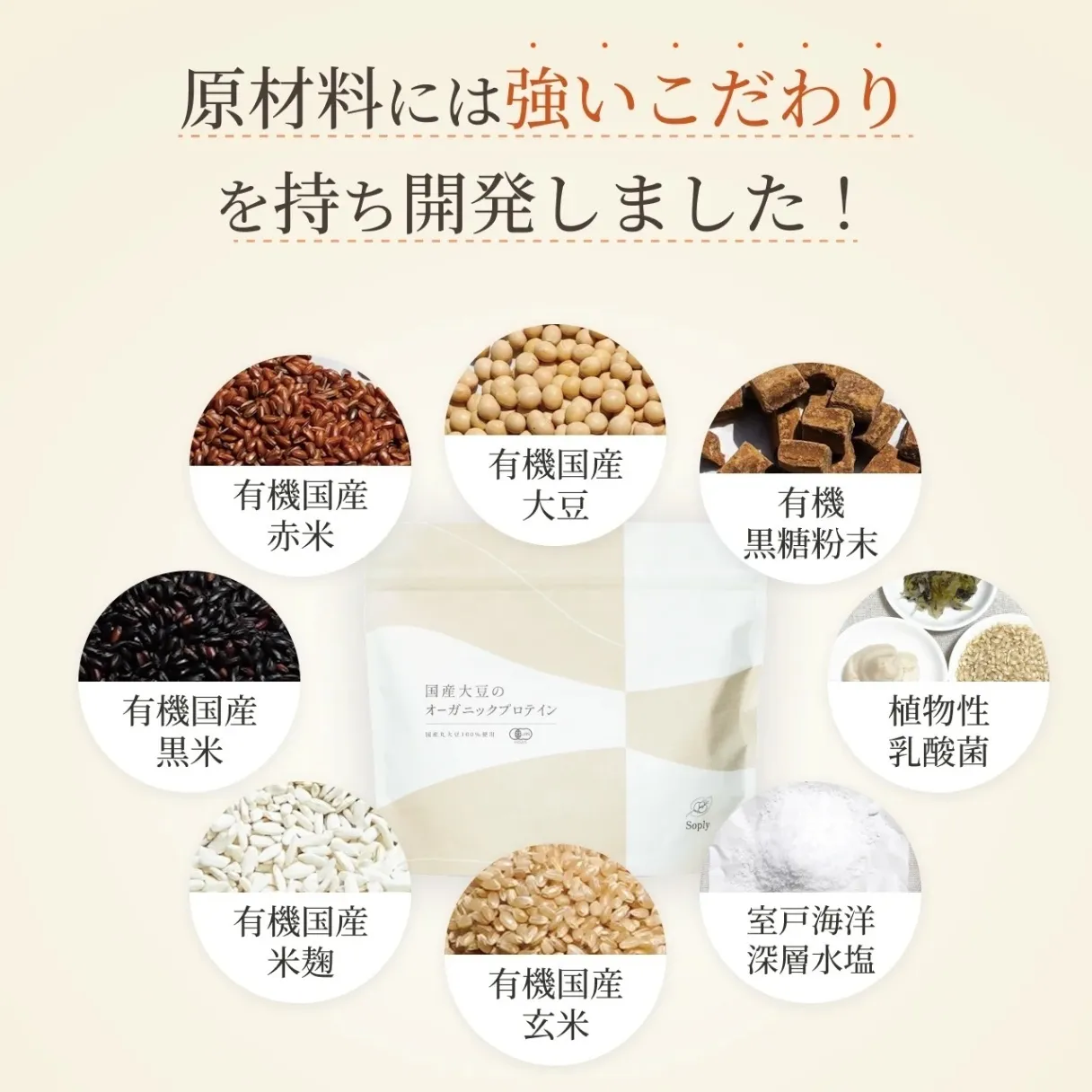 【持ち運び便利プロテイン】国産有機大豆のオーガニックプロテインSoply　1回分15袋セット