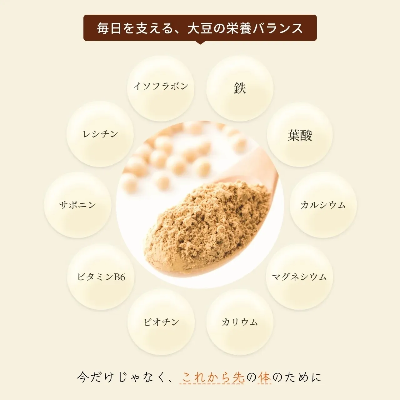 【持ち運び便利プロテイン】国産有機大豆のオーガニックプロテインSoply　1回分15袋セット