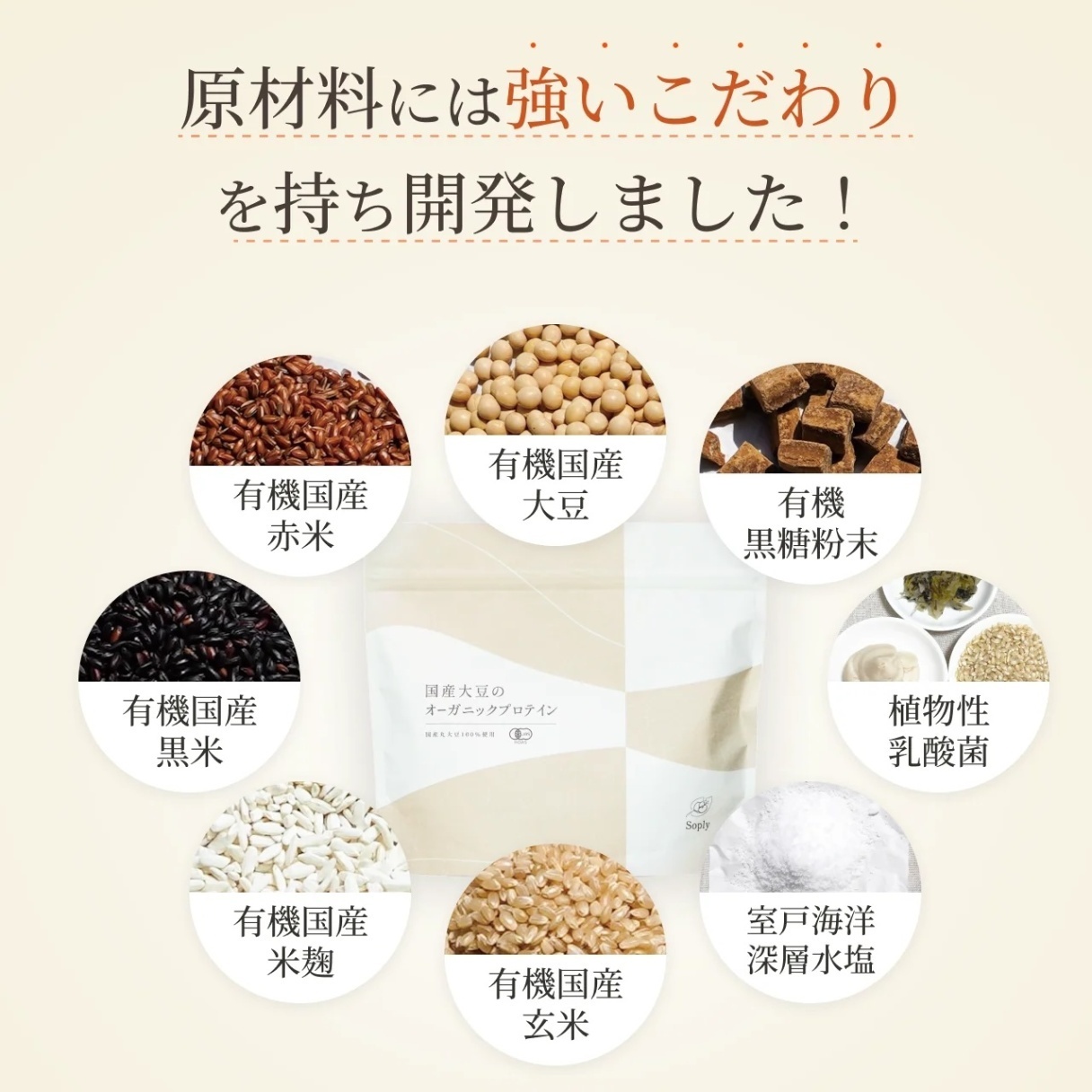 【お試し用】国産有機大豆のオーガニックプロテインSoply　１回飲み切りサイズ3袋セット