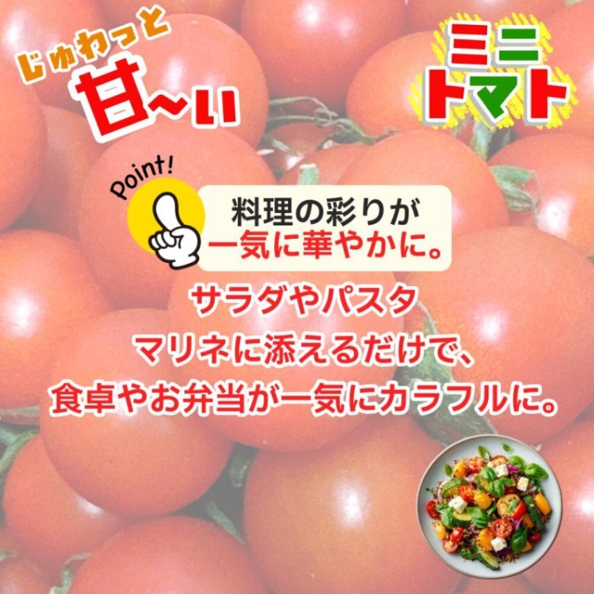 ミニトマト 仁枝農園 愛知県産 1kg 甘い フルーツトマト 送料無料 産地直送 新鮮 完熟 サラダ