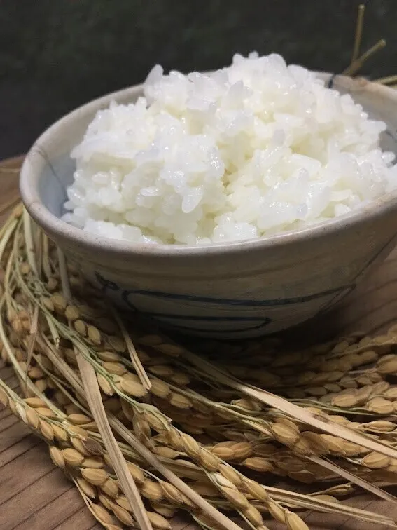 【送料込み※】令和8年産新米｜1等米判定あり｜特別栽培 丹後こしひかり白米5kg