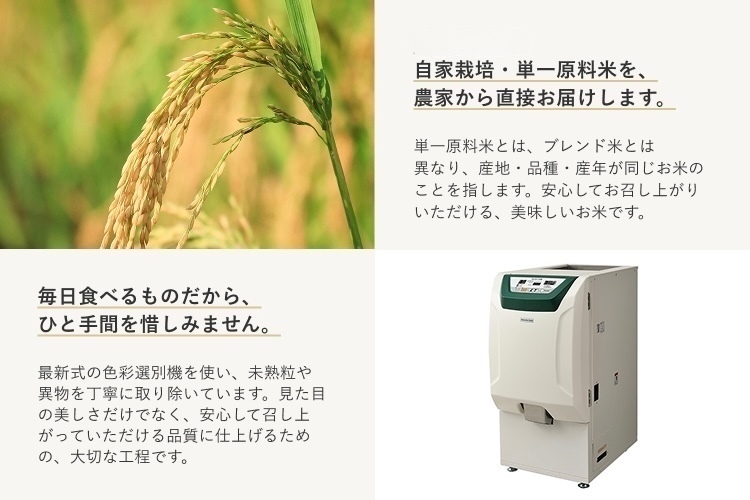 令和7年産 3kg にじのきらめき 静岡県富士宮産 白米