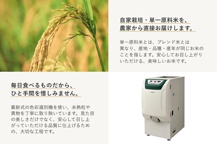 令和7年産 5kg にじのきらめき 静岡県富士宮産 玄米