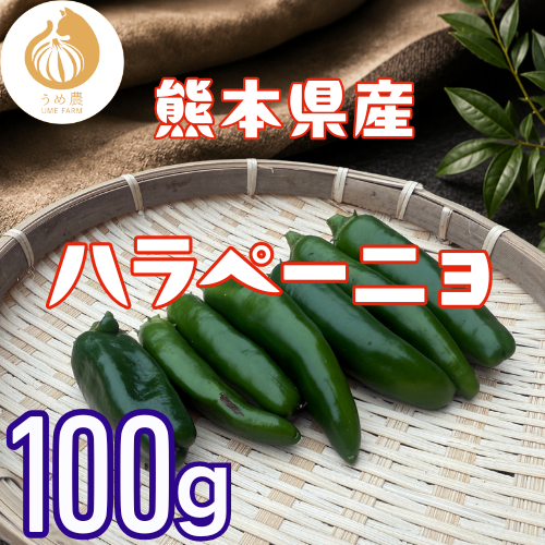 【農家直送】熊本県産 ハラペーニョ100g 栽培中農薬不使用