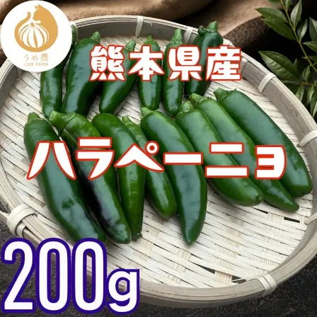 【農家直送】熊本県産 ハラペーニョ200g 栽培期間中農薬不使用　※収穫出来次第のお届けになります