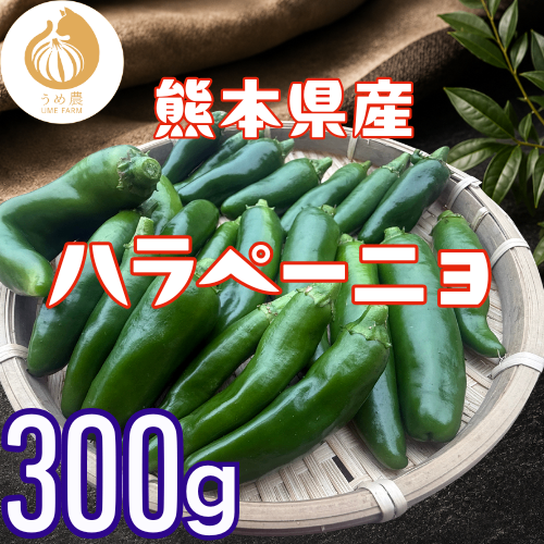 【農家直送】熊本県産 ハラペーニョ300g 栽培中農薬不使用