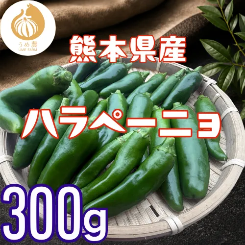 【農家直送】熊本県産 ハラペーニョ300g 栽培期間中農薬不使用　※収穫出来次第のお届けになります