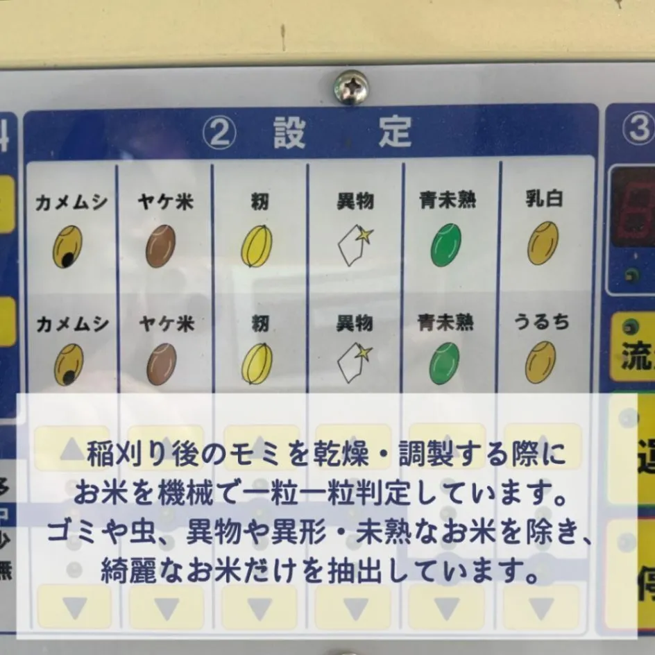 無洗米ミルキークィーン5kg 令和7年 石川県産 脱酸素 保存袋 ジッパー付き袋 遮光袋