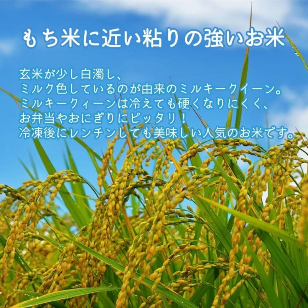 無洗米ミルキークィーン5kg 令和7年 石川県産 脱酸素 保存袋 ジッパー付き袋 遮光袋