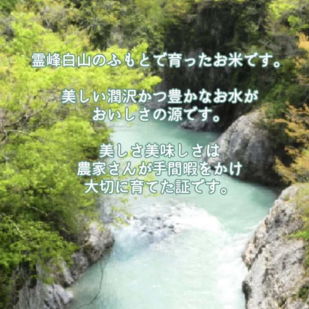 無洗米ミルキークィーン5kg 令和7年 石川県産 脱酸素 保存袋 ジッパー付き袋 遮光袋