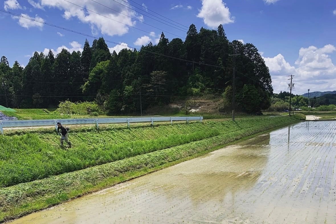 【無洗米】5キロ　令和７年産 三重県伊賀産コシヒカリ