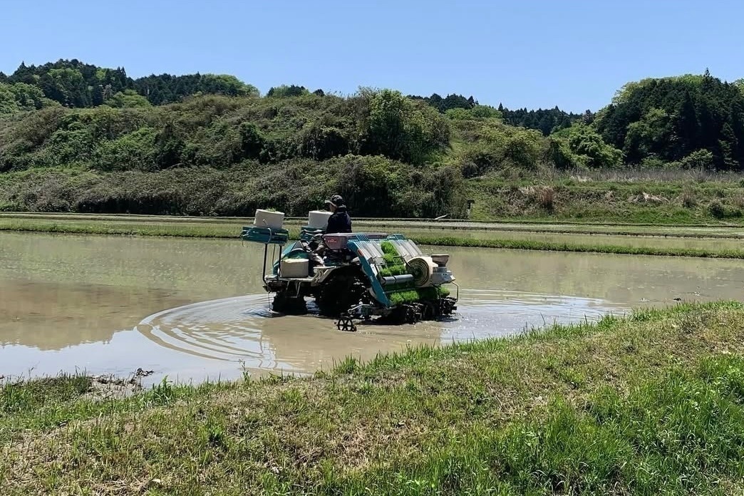 【白米】5キロ　令和７年産 三重県伊賀産コシヒカリ