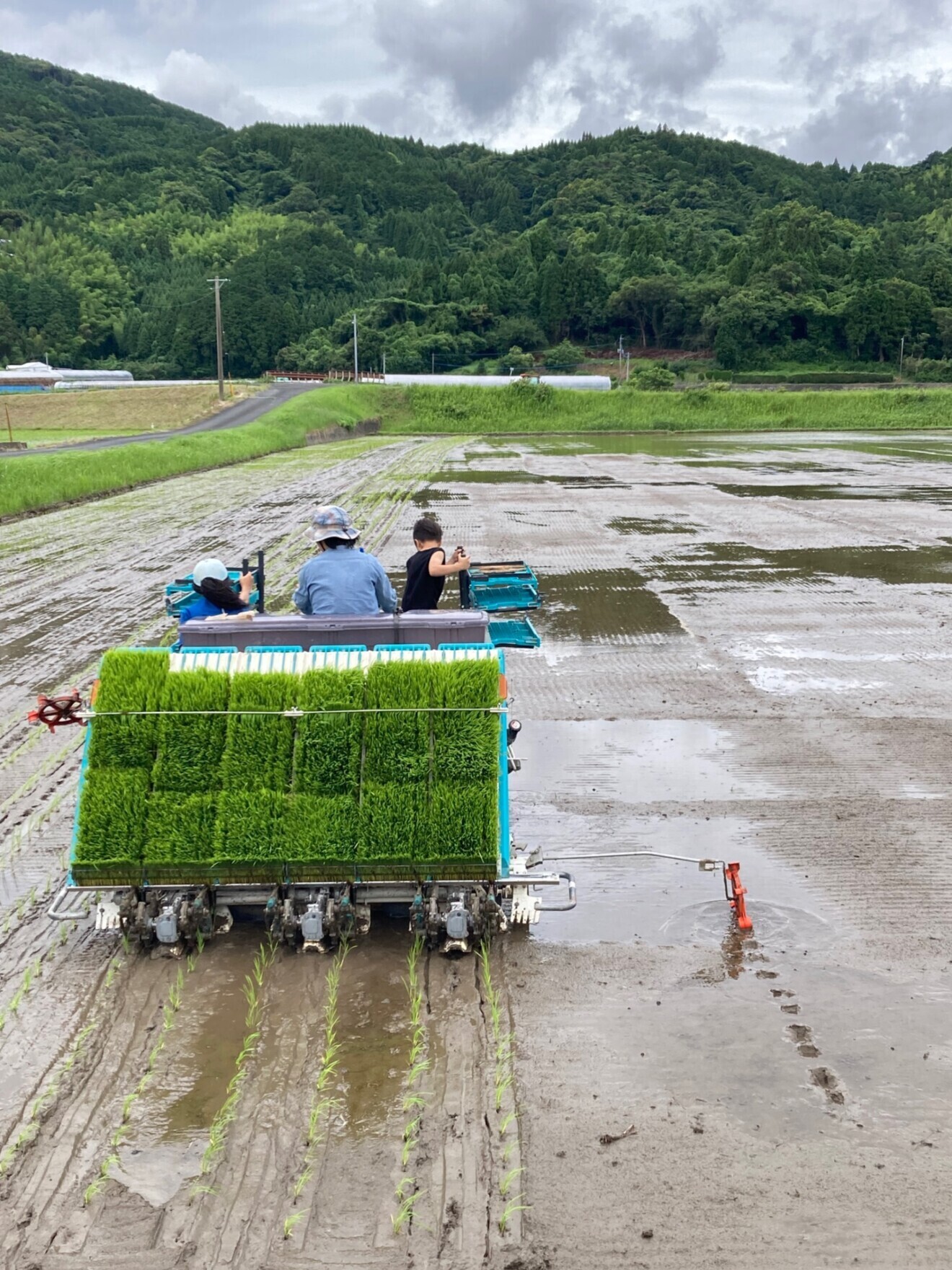 令和７年産米　玄米１０ｋｇ（白米でもOK）　夢しずく　無農薬・有機肥料使用
