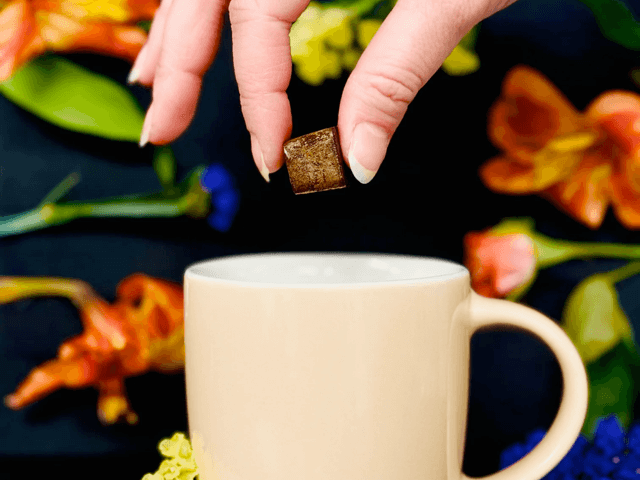 PonCha コーヒー 12g・10粒｜水・お湯で溶けるフリーズドライキューブ｜約10杯分
