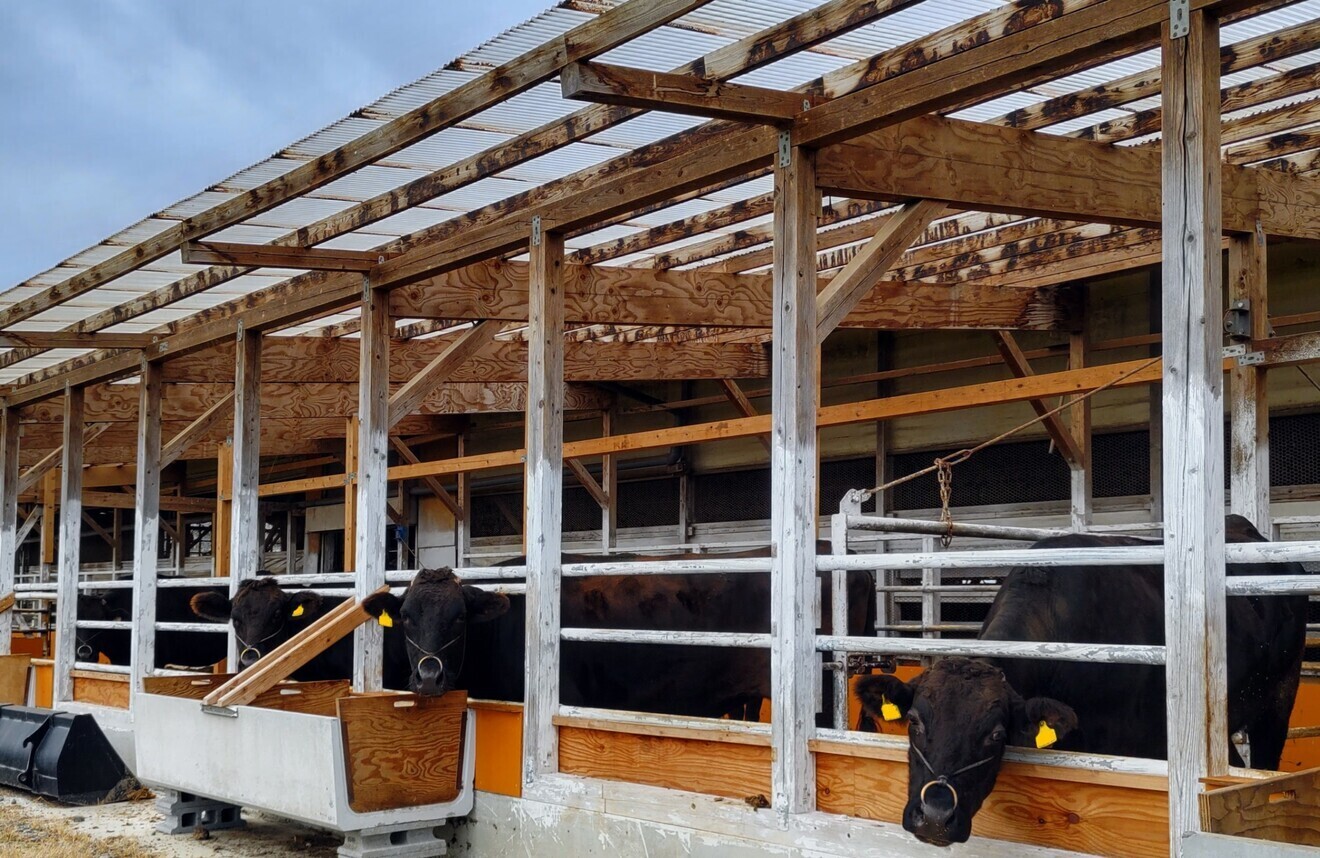 令和７年 宮城県産つや姫（環境保全米、資源循環型農業）玄米5kg×2袋